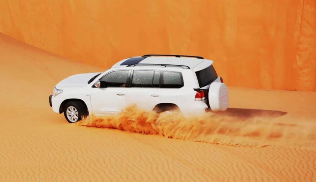 Standard desert safari